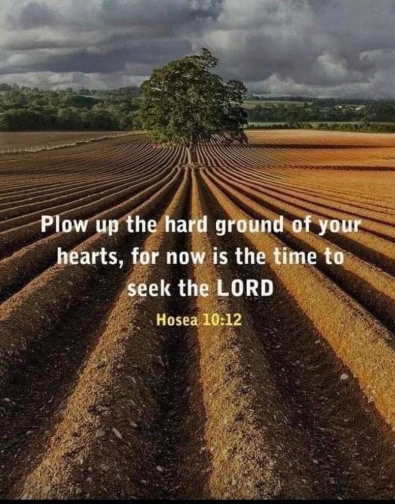 JESUS CHRIST OUR ONLY HOPE.
